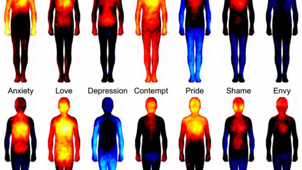 Your emotions are often constructed
