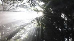 The bright side of vulnerability
