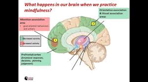 What 10 minutes of mindfulness does to your brain